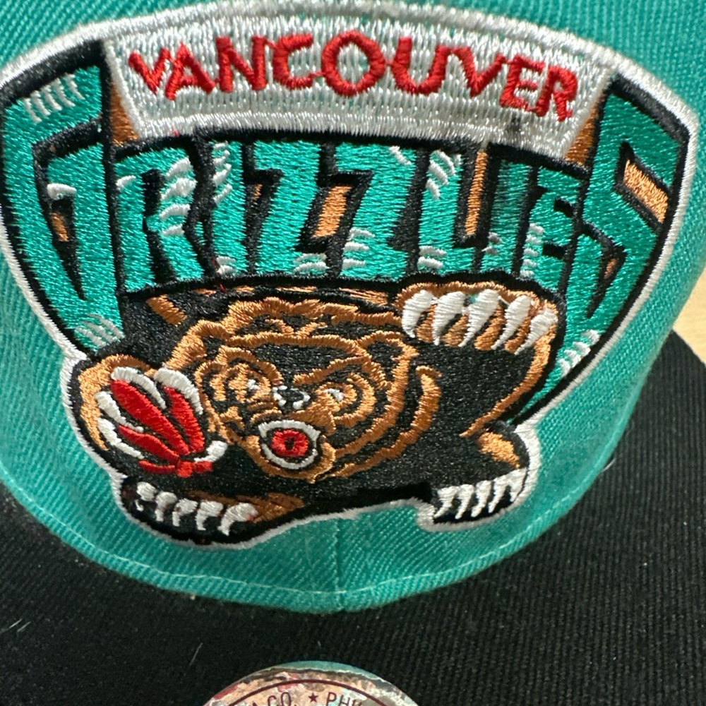 Mitchell & Ness Teal and Black Vancouver Grizzlies Embroidered Snapback